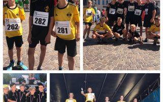 Citylauf Collage IMG 4307